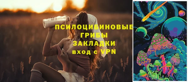 ГАЛЛЮЦИНОГЕННЫЕ ГРИБЫ Богданович