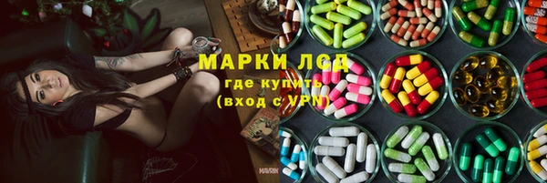 ГАЛЛЮЦИНОГЕННЫЕ ГРИБЫ Богданович